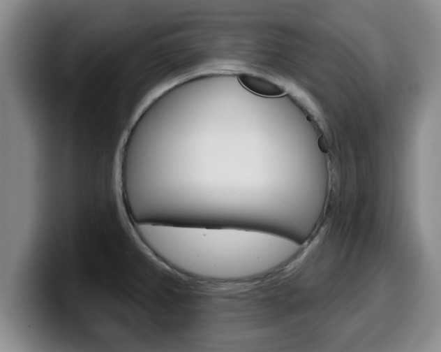 X0000100321382200806051340