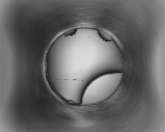 X0000100321383200806051340