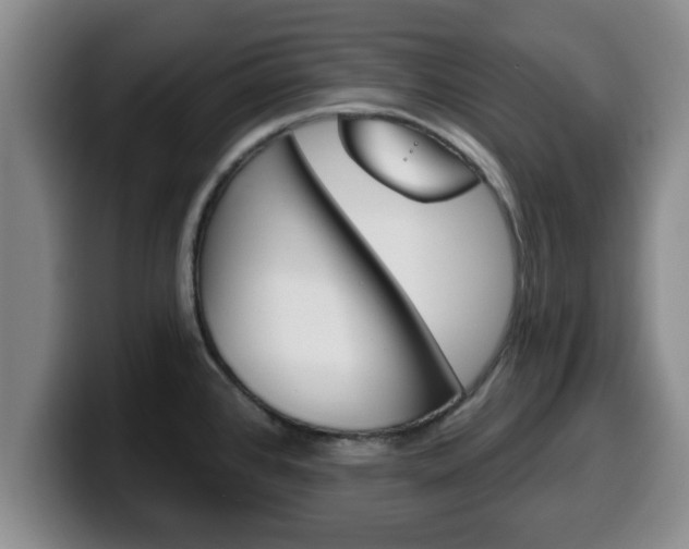 X0000100321384200806051340
