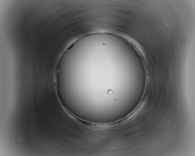 X0000100321385200806051340