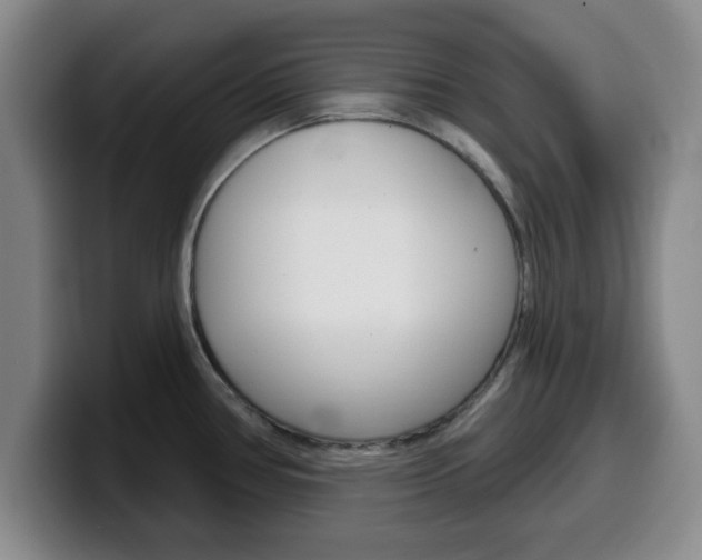 X0000100321386200806051340