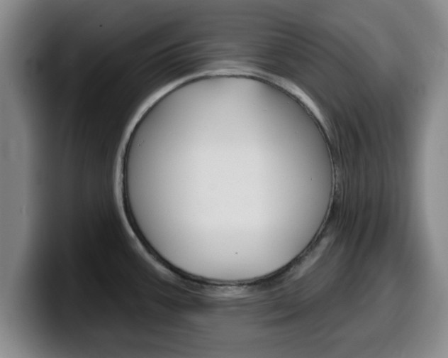 X0000100321387200806051340