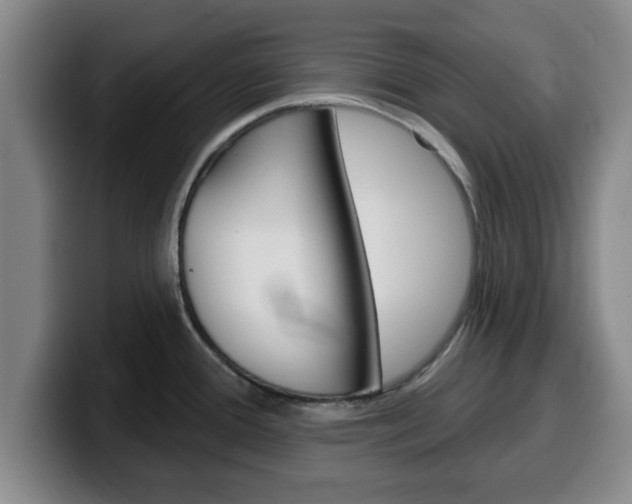 X0000100321388200806051340