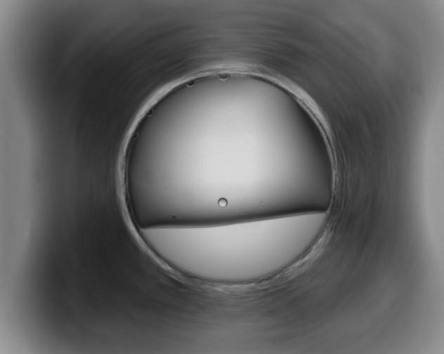 X0000100321389200806051340