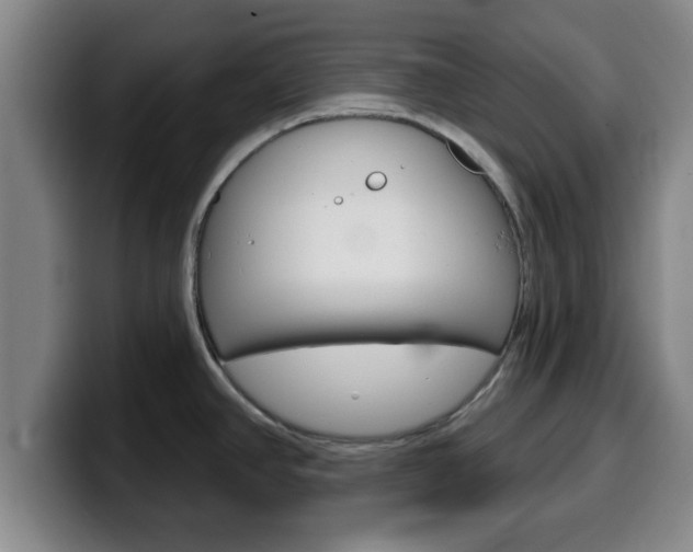 X0000100321390200806051340