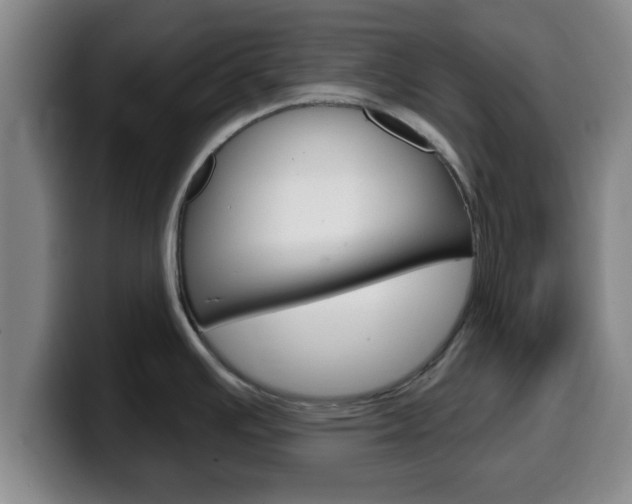 X0000100321391200806051340