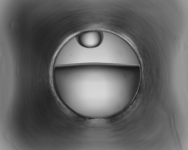 X0000100321392200806051340
