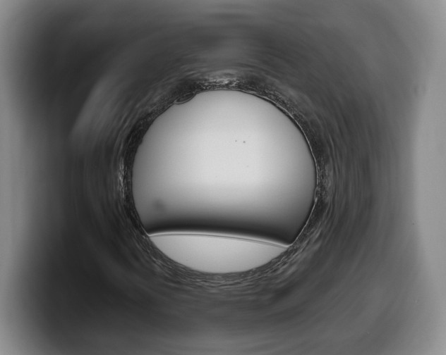 X0000100321394200806051340