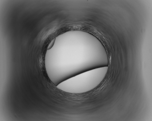 X0000100321395200806051340