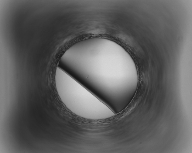 X0000100321398200806051340