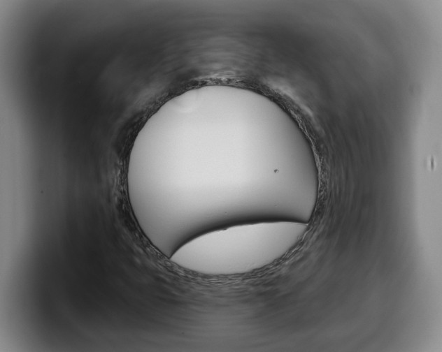 X0000100321399200806051340