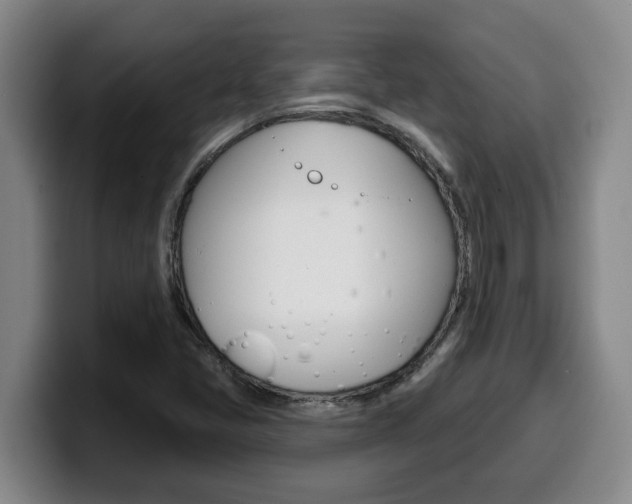 X0000100321405200806051340