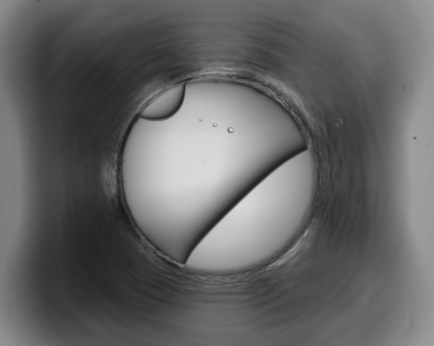 X0000100321409200806051340