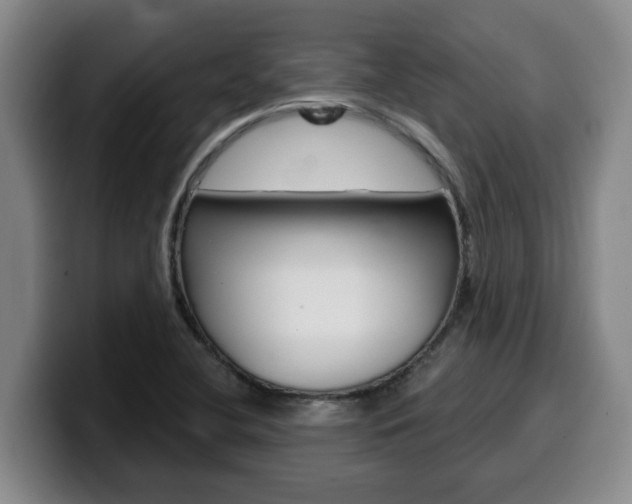X0000100321412200806051340
