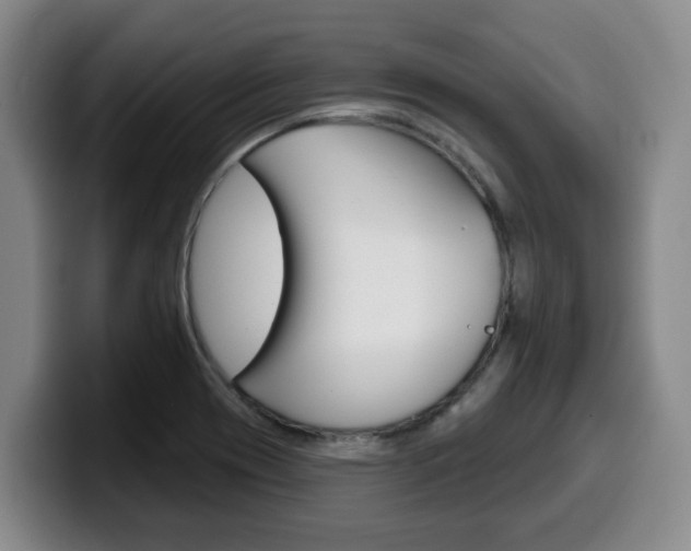 X0000100321417200806051340