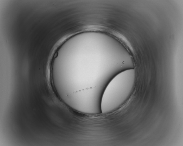 X0000100321419200806051340