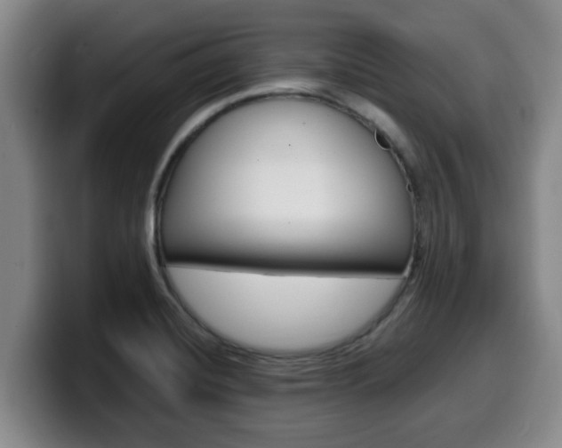 X0000100321420200806051340