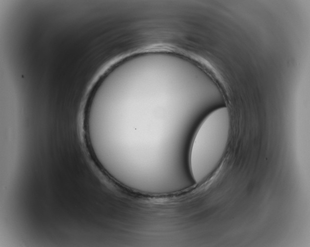X0000100321422200806051340