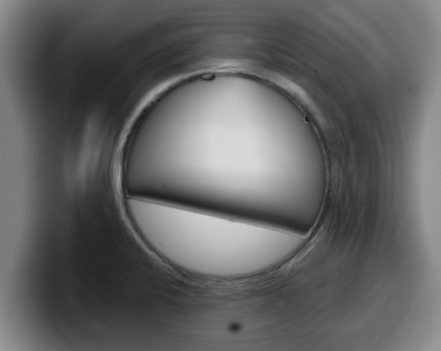 X0000100321424200806051340