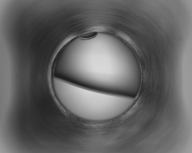 X0000100321426200806051340