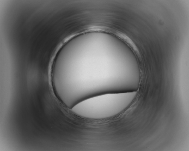 X0000100321427200806051340