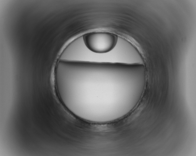 X0000100321428200806051340