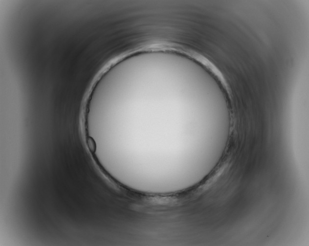 X0000100321429200806051340