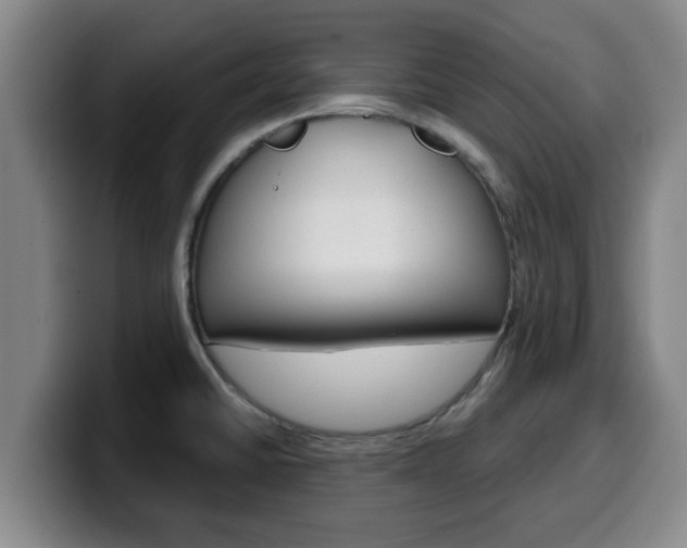 X0000100321430200806051340