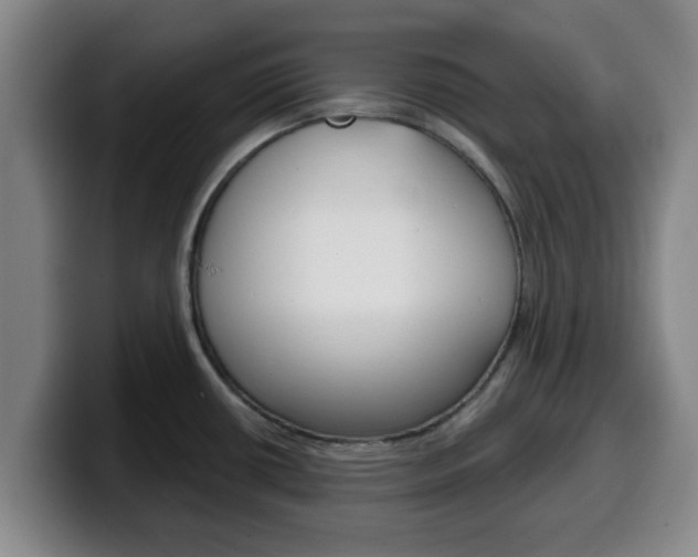 X0000100321434200806051340
