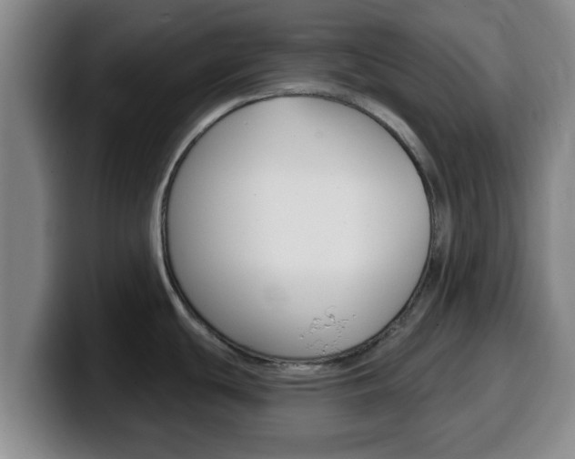 X0000100321439200806051340