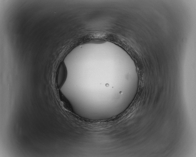 X0000100321441200806051340