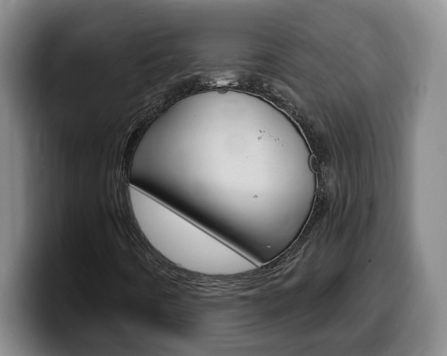 X0000100321442200806051340