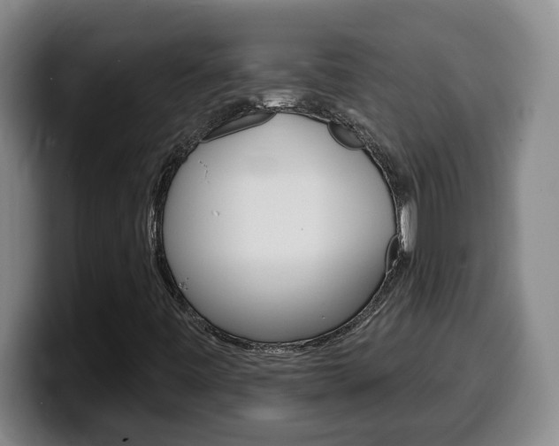 X0000100321443200806051340