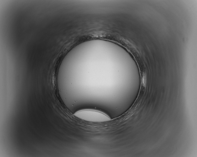 X0000100321444200806051340
