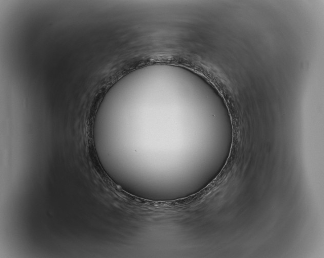X0000100321445200806051340