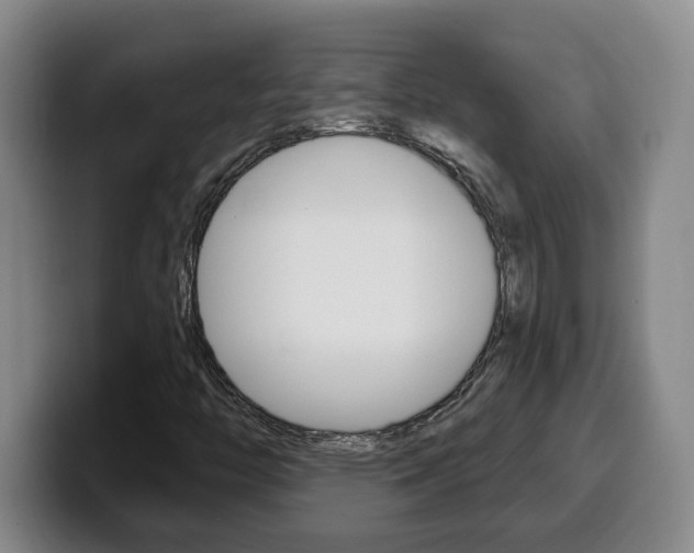 X0000100321446200806051340