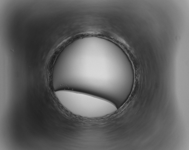 X0000100321448200806051340