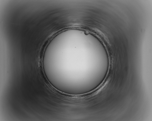 X0000100321449200806051340