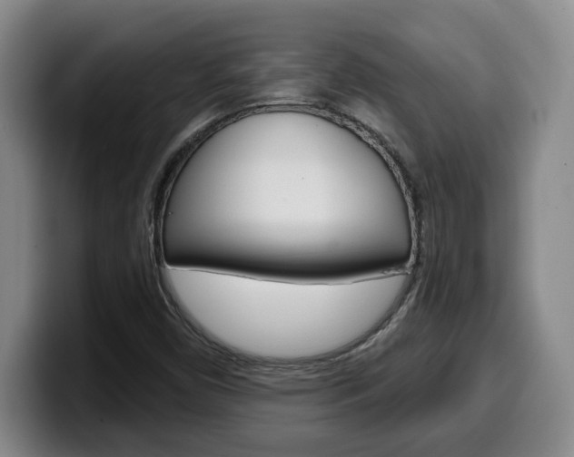 X0000100321450200806051340