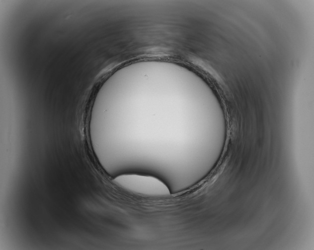 X0000100321451200806051340