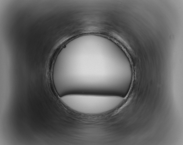 X0000100321453200806051340
