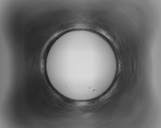 X0000100321454200806051340