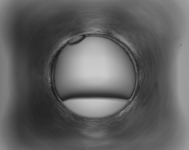 X0000100321455200806051339