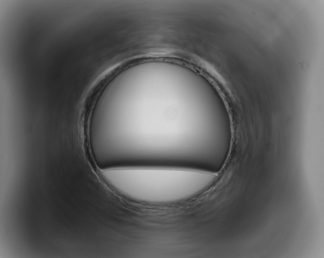 X0000100321456200806051339