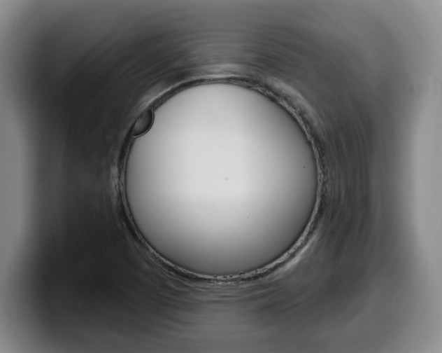 X0000100321457200806051339