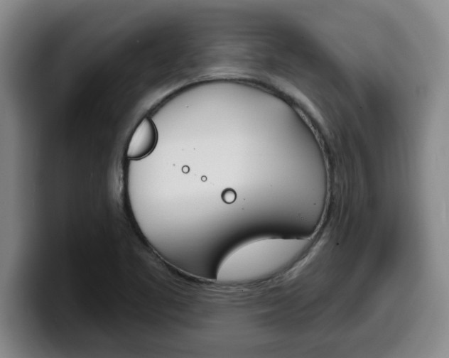 X0000100321461200806051339