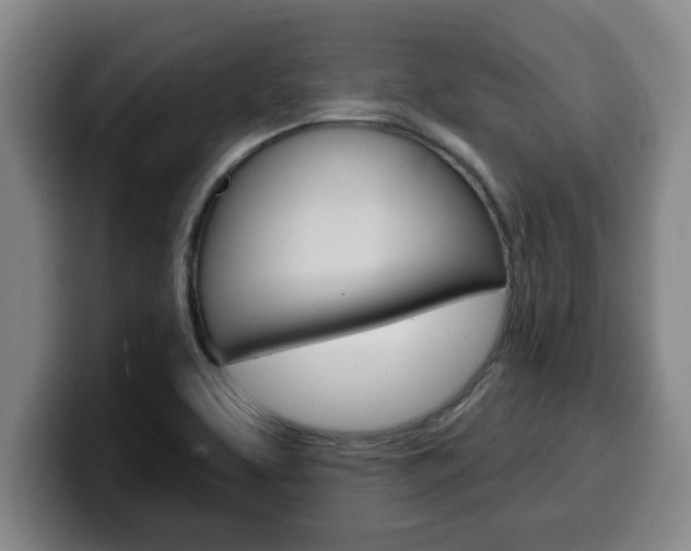 X0000100321463200806051339