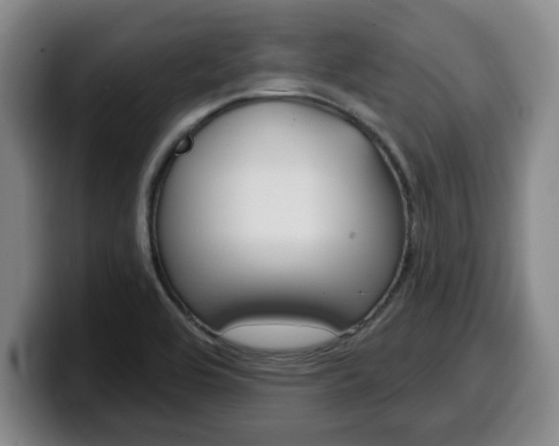 X0000100321464200806051339