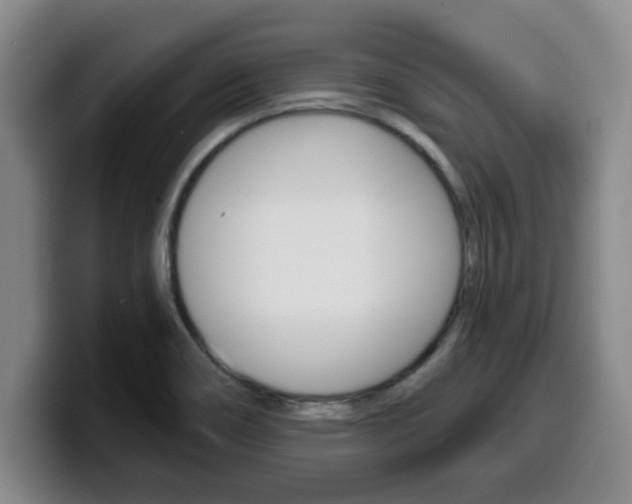 X0000100321466200806051339