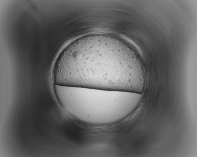 X0000100321467200806051339